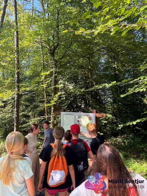 Pohod do bolnice Zima