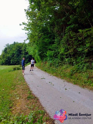 Odstranjevanje odvečnega grmičevja