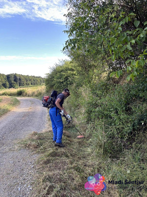 Košnja trave ob cesti