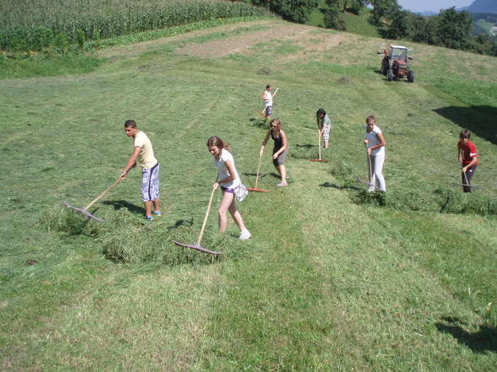 Na sliki: Mladi prostovoljci iz Slovenije, Madžarske, Hrvaške in Srbije pri izvajanju kmečkih opravil na kmetiji na Kalobju